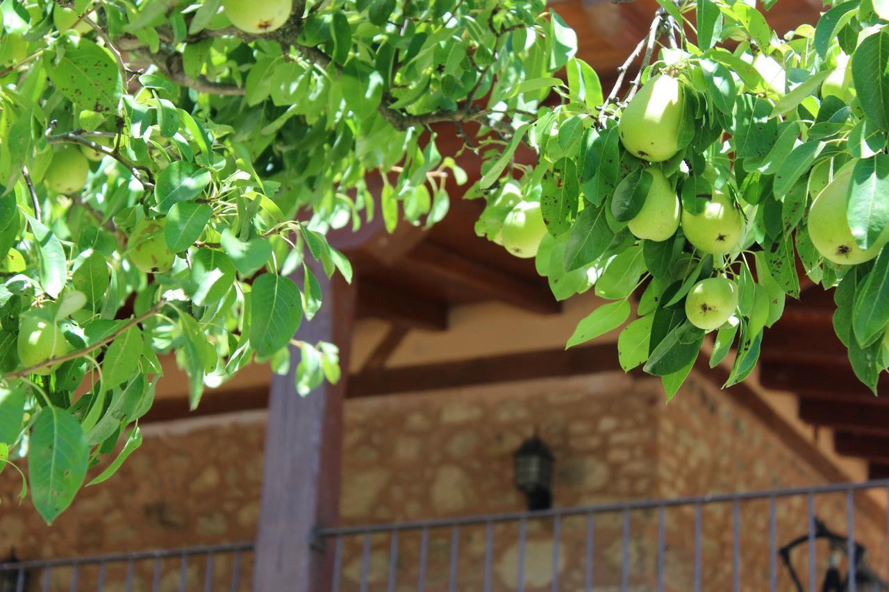 Complejo Rural La Coronilla Guest House Харандила де ла Вера Екстериор снимка